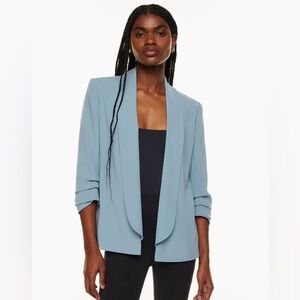 Babaton Aritzia Crepe Blazer